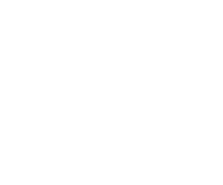 Logo fdvex